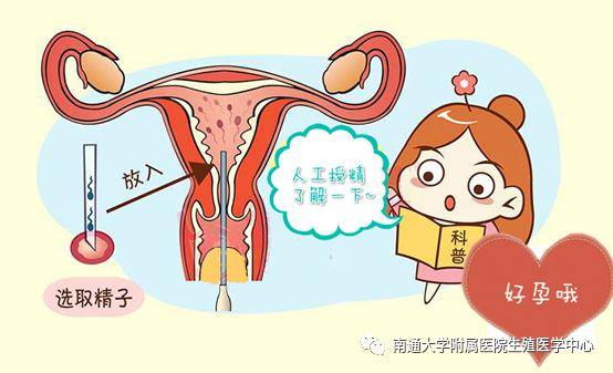 孕婦奶粉