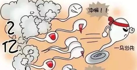 國家三級心理咨詢師證書