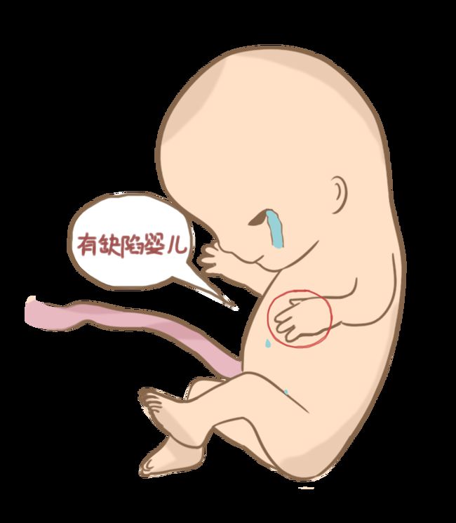 在線查孕期計(jì)算器