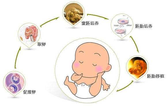 四川小產(chǎn)假期