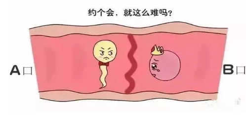 地貧基因檢測