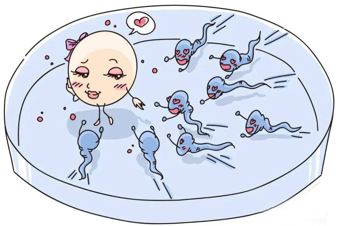 備孕女性