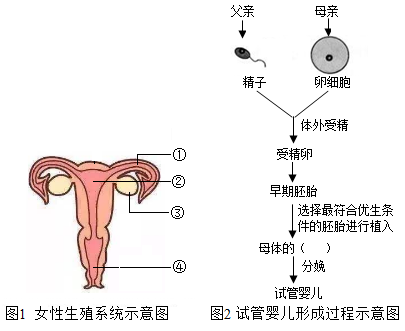 備孕戒煙
