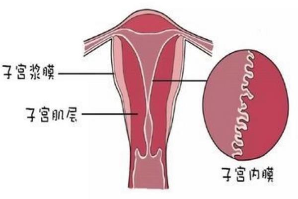 雙胞胎懷孕