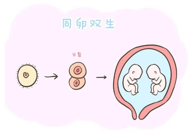 堵奶