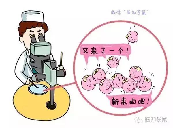 女性備孕男寶
