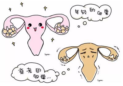 備孕前檢查