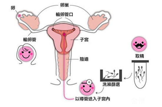 母乳喂養(yǎng)