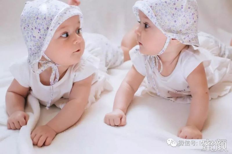 胚胎