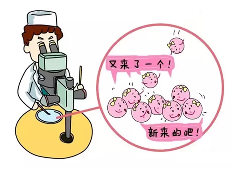 備孕期間吃什么容易懷男孩