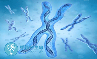小產(chǎn)
