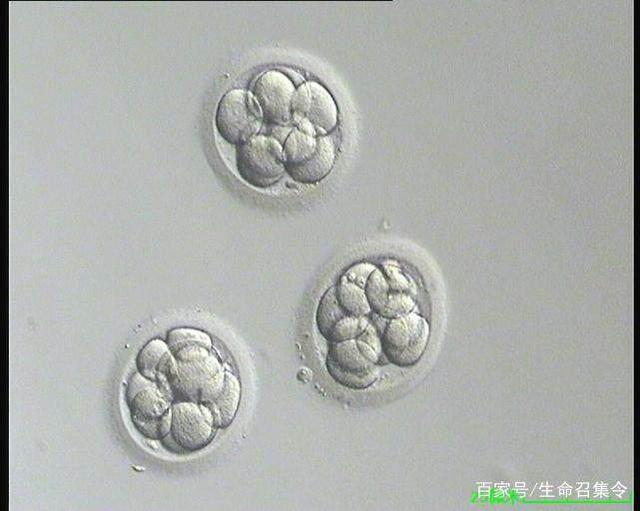 嘉興