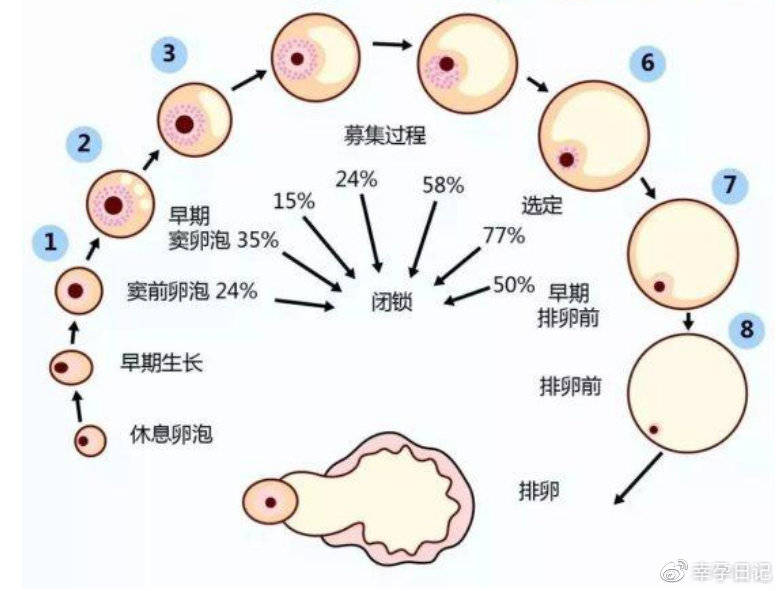 嘉興試管助孕