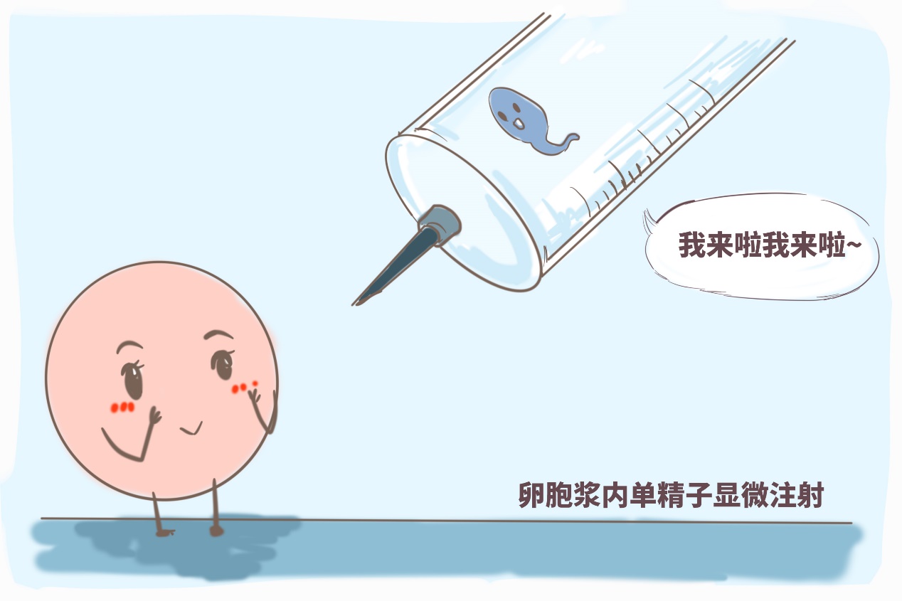 嘉興捐卵試管中心醫(yī)院