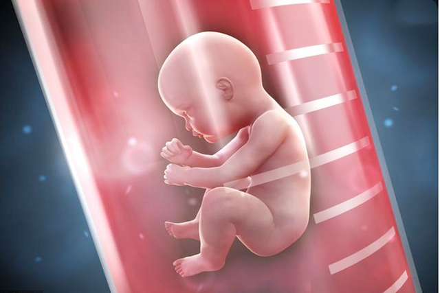 嘉興試管嬰兒