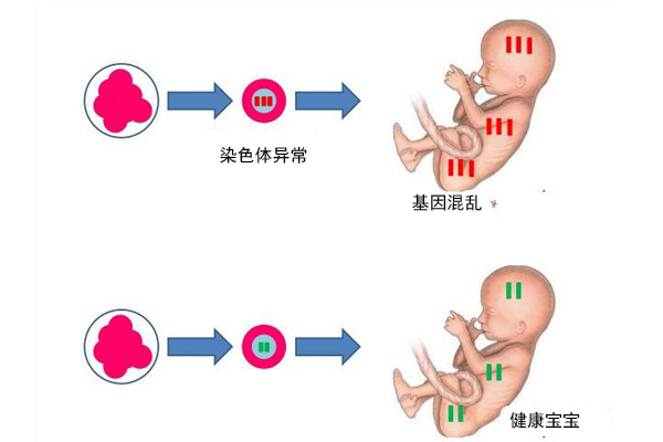 嘉興試管嬰兒費(fèi)用
