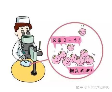 女性最佳生育年齡