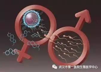 女性捐卵