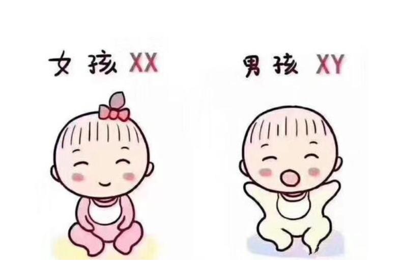 女性備孕