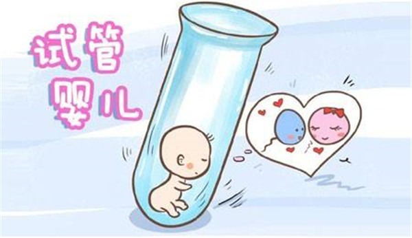 女生捐卵費用