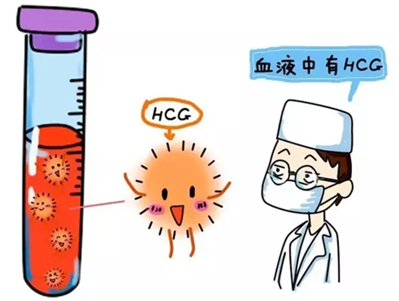 容易受孕的女人的特點(diǎn)
