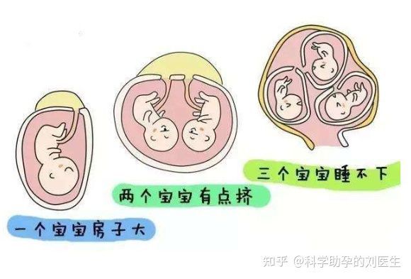 取卵