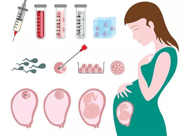 想找個女人生孩子多少錢