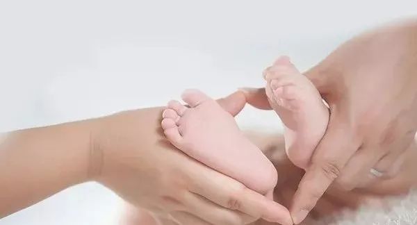 卵子捐贈(zèng)